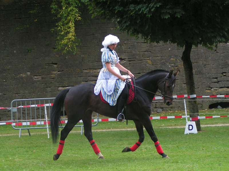 REMPARTS LONGWY 2008 109.jpg